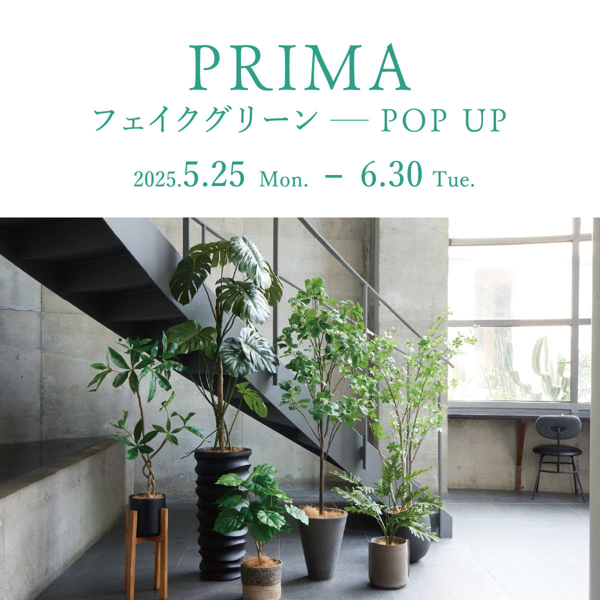 MasterWal 「GREENPARK POP UP ―フェイクグリーン― 開催」｜MasterWal